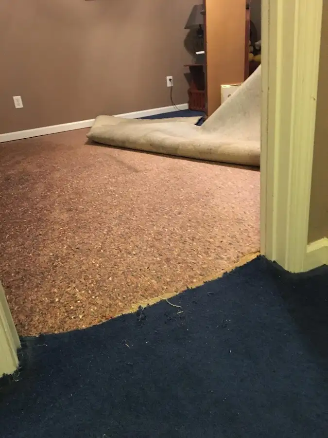 Carpet pad removal revealing water damage during Water Mitigation Services in Mount Healthy