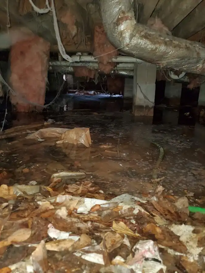 Crawl space flood assessment for Commercial Water Damage Restoration in Mount Healthy